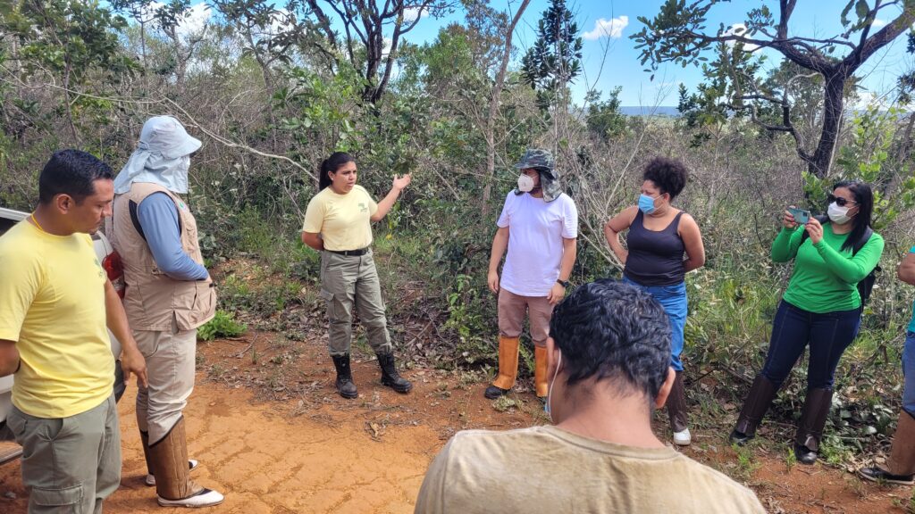 workshop participants on field trip in Cerrado