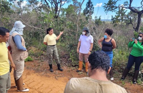 workshop participants on field trip in Cerrado