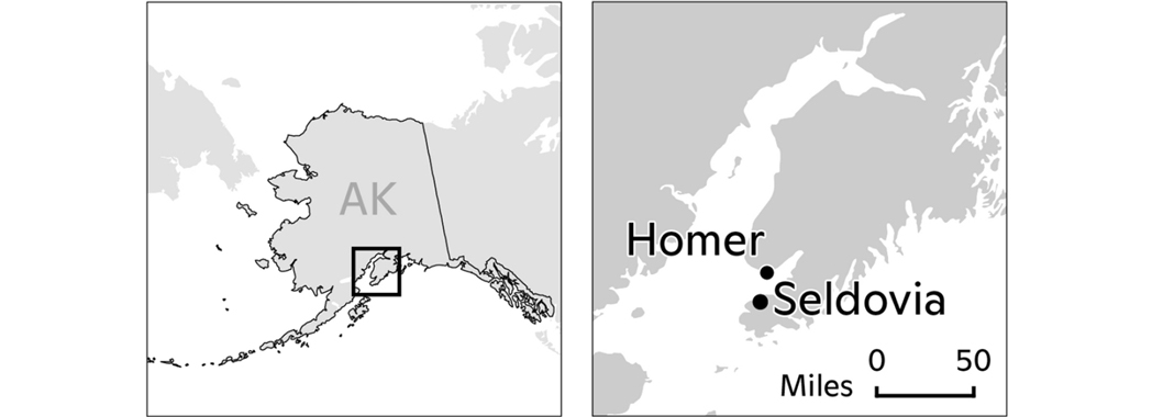 Location maps for Home and Seldovia, Alaska