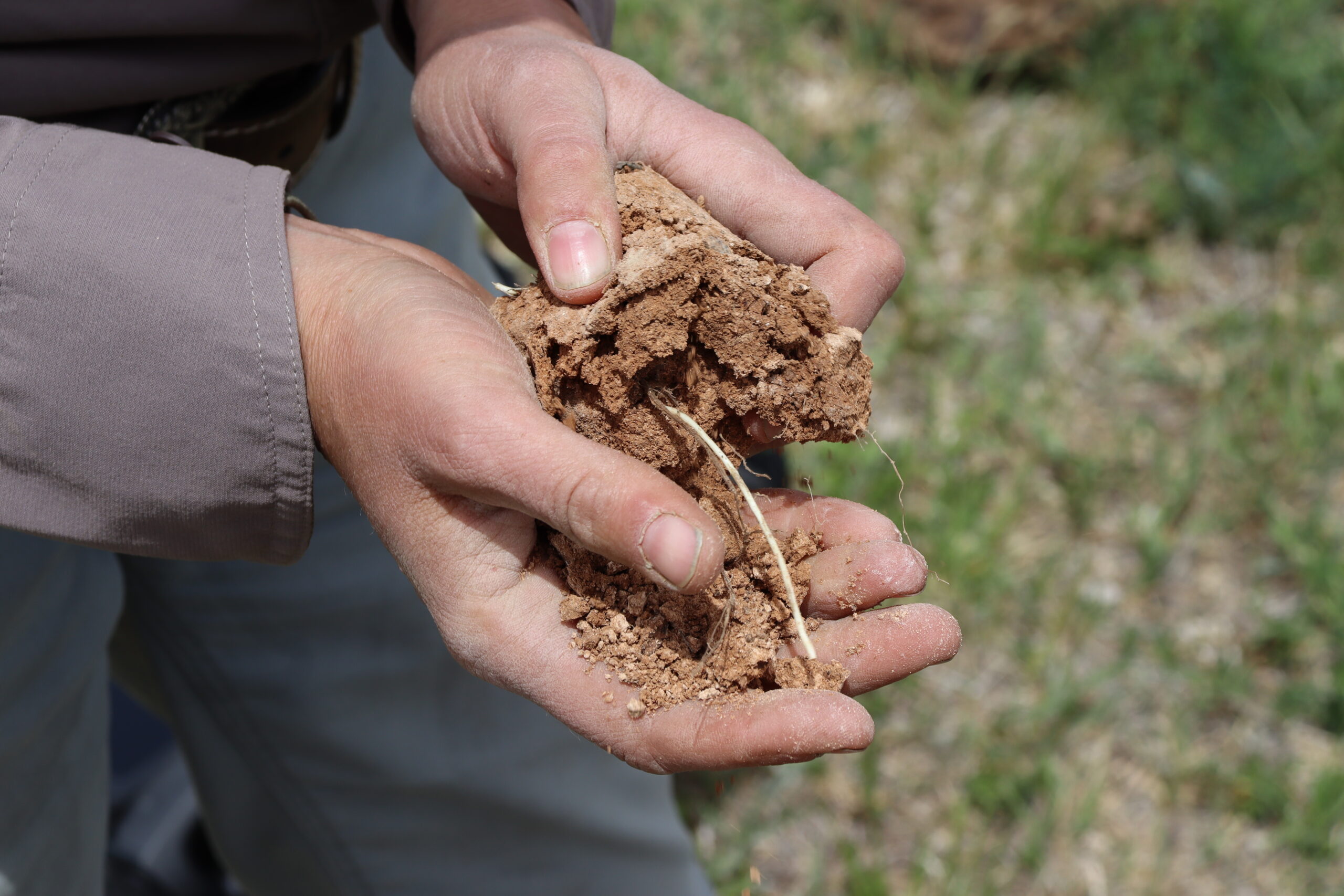 A man holds dry, clumpy soil in his hands