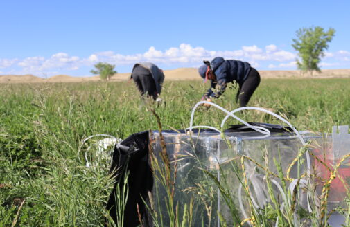 woodwell scientists collect samples next to a carbon flux channel