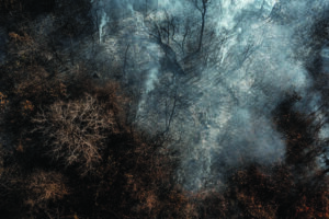 A drone image of smoky burned trees in the Cerrado