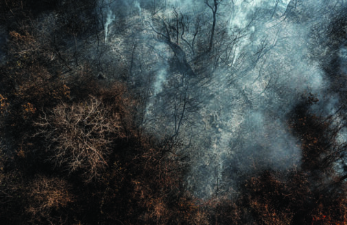 A drone image of smoky burned trees in the Cerrado