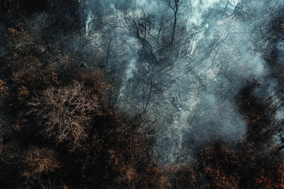 A drone image of smoky burned trees in the Cerrado