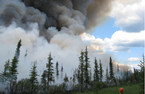 A smoky boreal forest fire in Alaska.