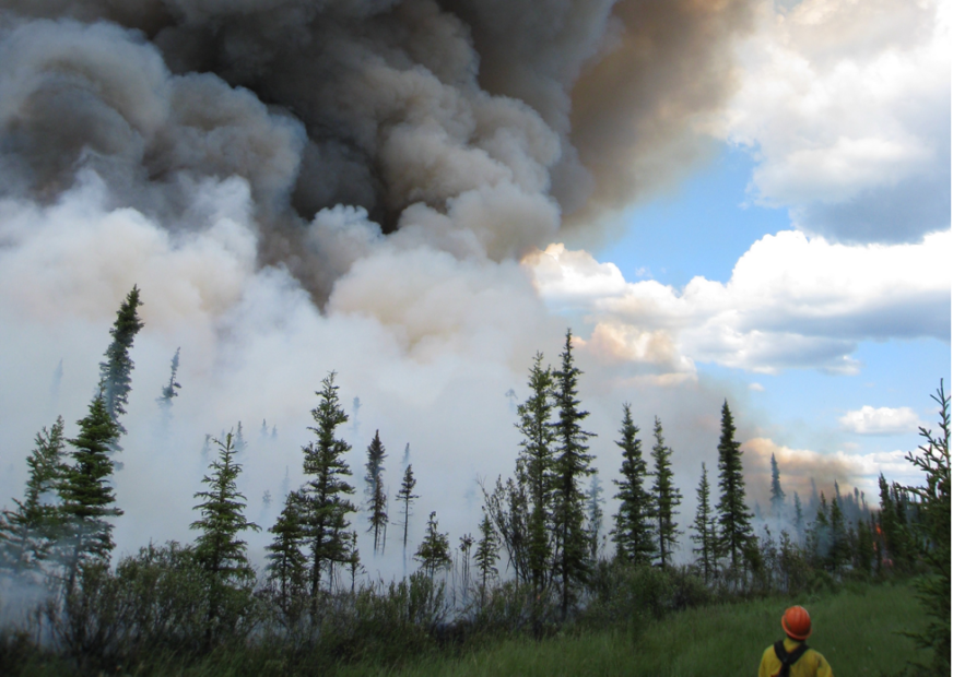 A smoky boreal forest fire in Alaska.