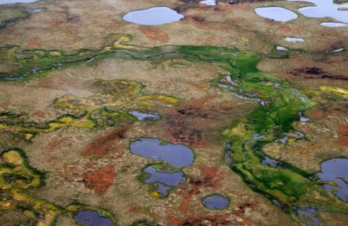 photo of arctic lakes from above