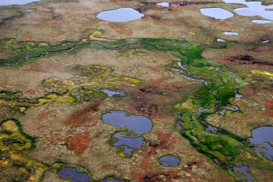 photo of arctic lakes from above