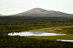 A view of a boreal forest in Siberia, with a small lake in the foreground and a mountain in the background.