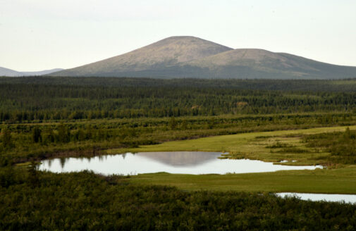 A view of a boreal forest in Siberia, with a small lake in the foreground and a mountain in the background.