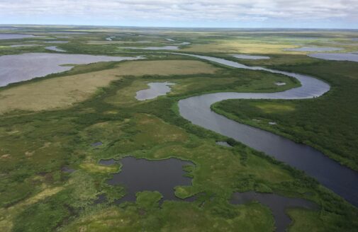 Aerial image of river winding through Arctic tundra.