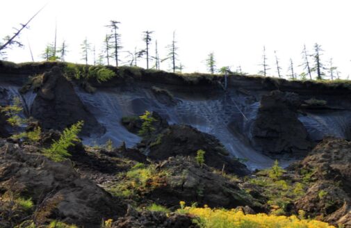 exposed permafrost