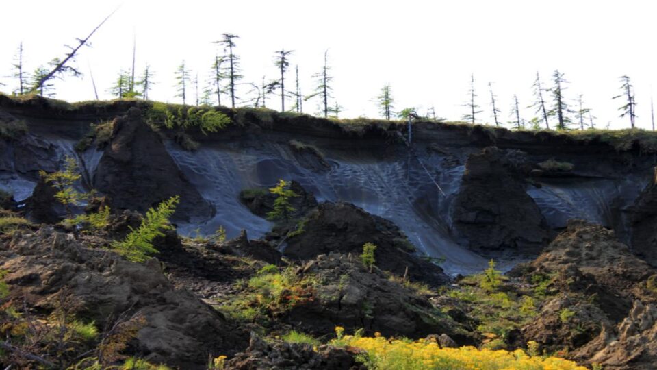 exposed permafrost