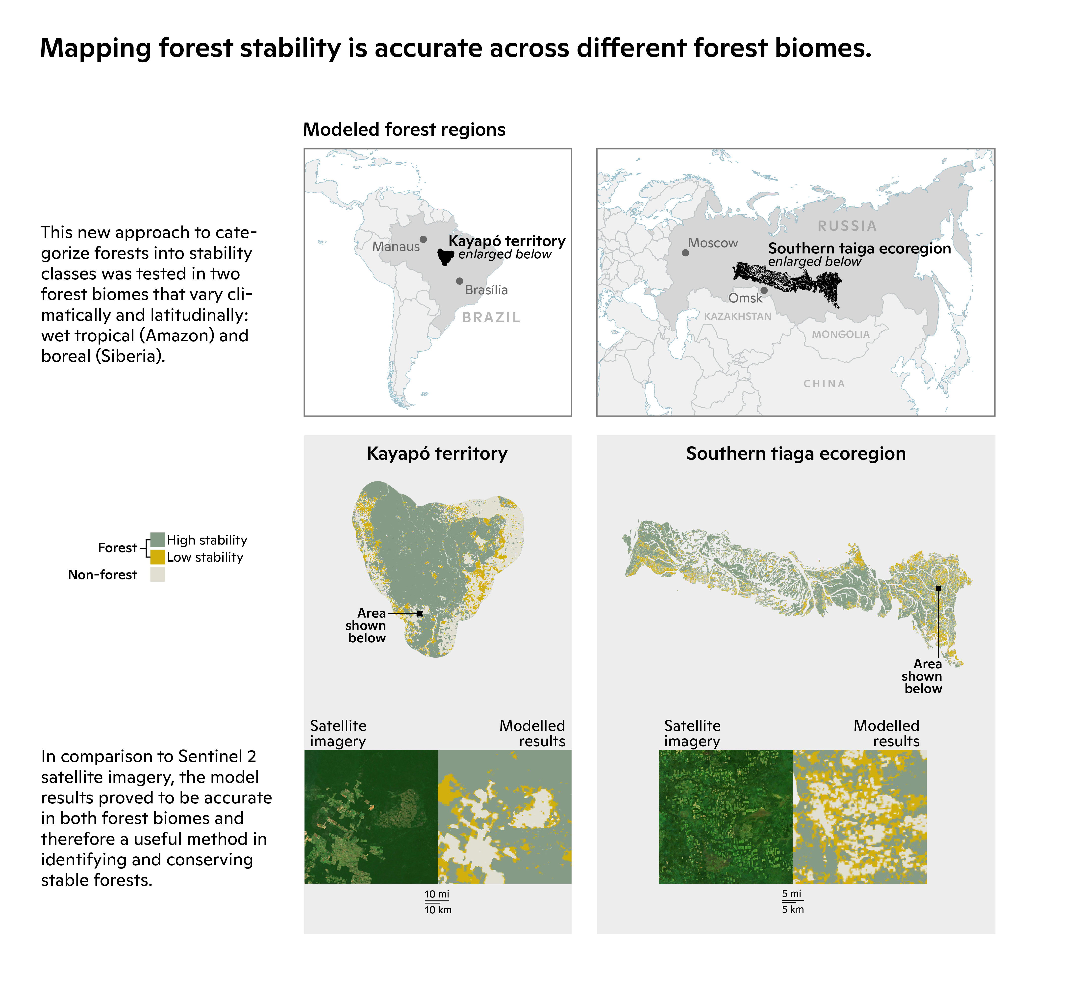 forest stability maps of amazon and taiga