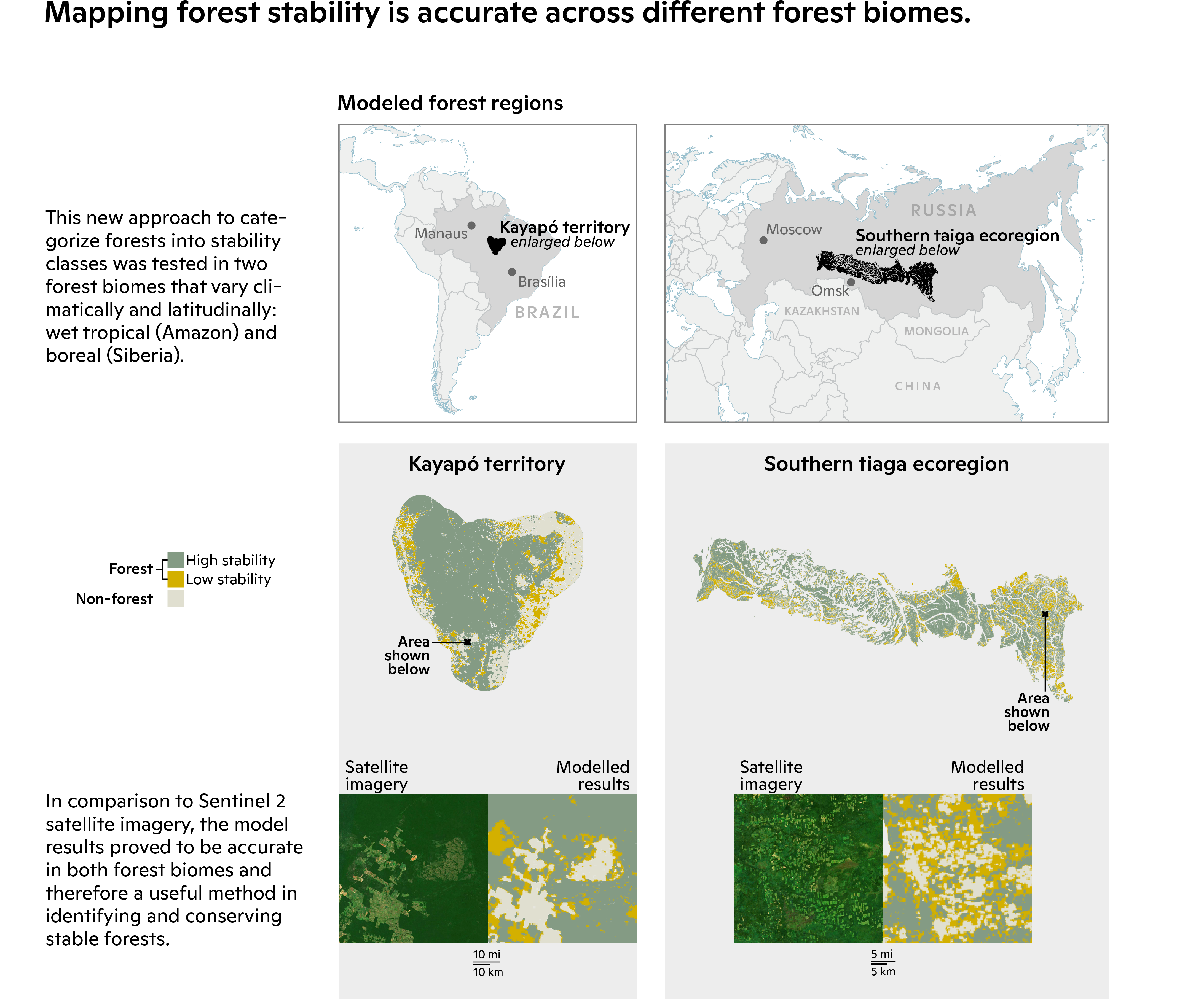 forest stability maps of amazon and taiga