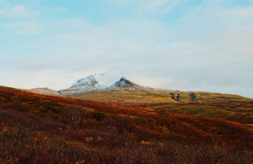 arctic landscape