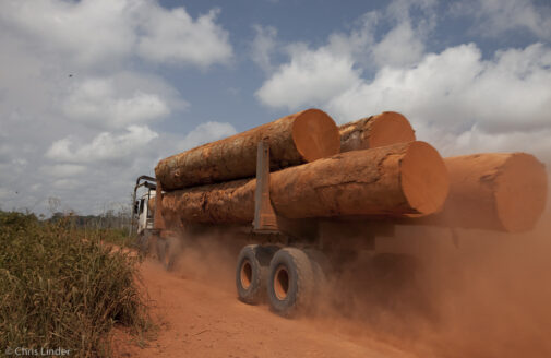 A truck carries the large trunks of felled trees down a dusty orange road.