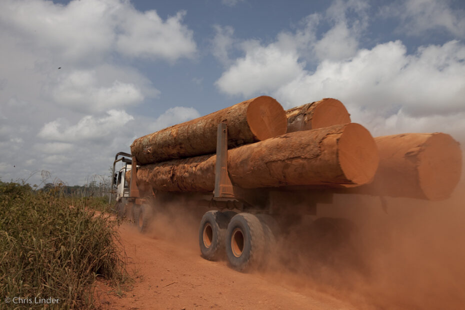 A truck carries the large trunks of felled trees down a dusty orange road.