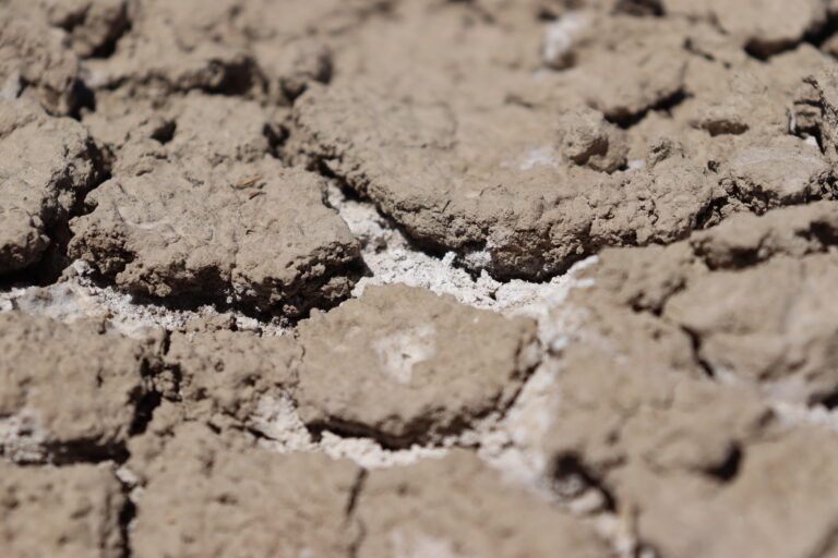 dry cracked soil