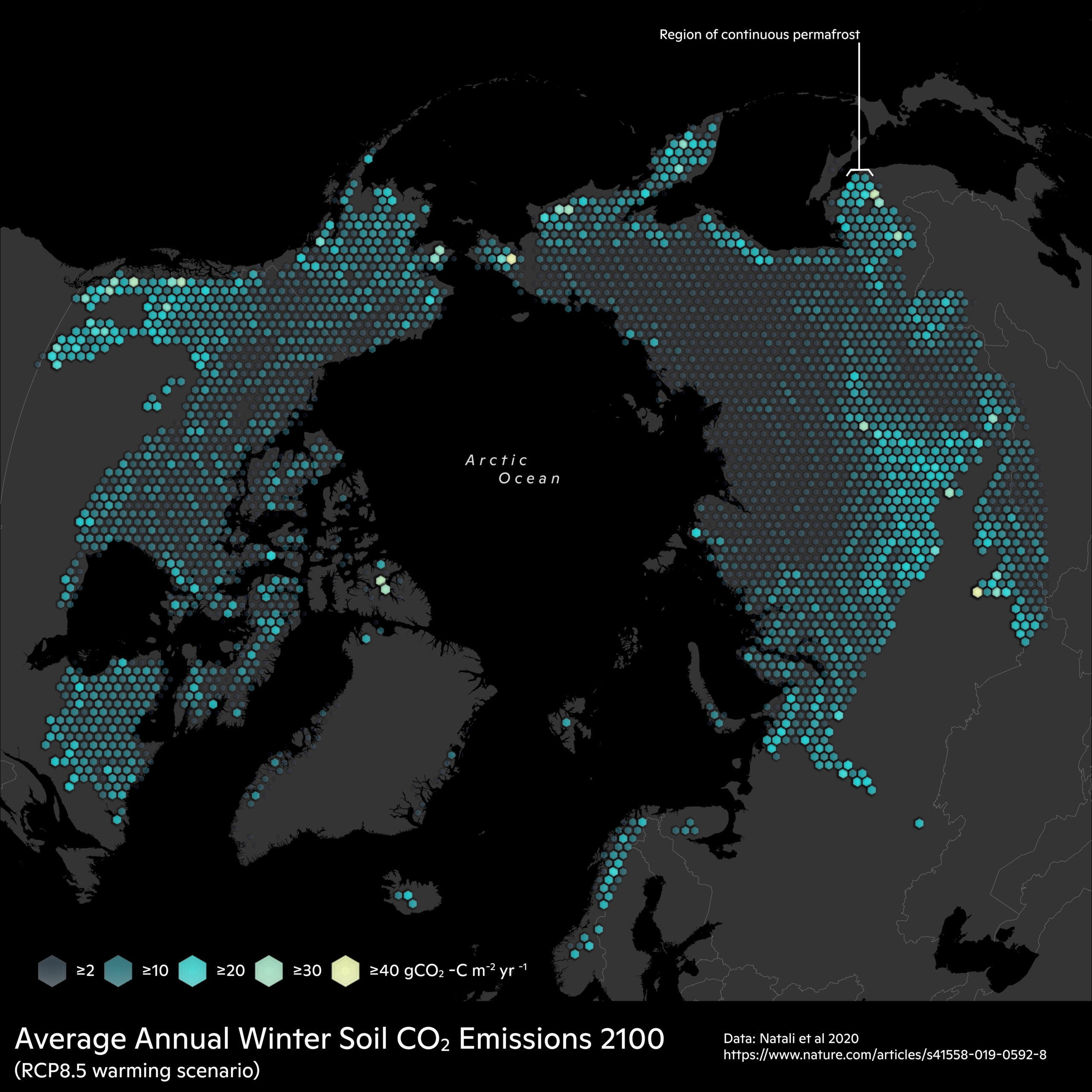 map of winter soil respiration in the Arctic