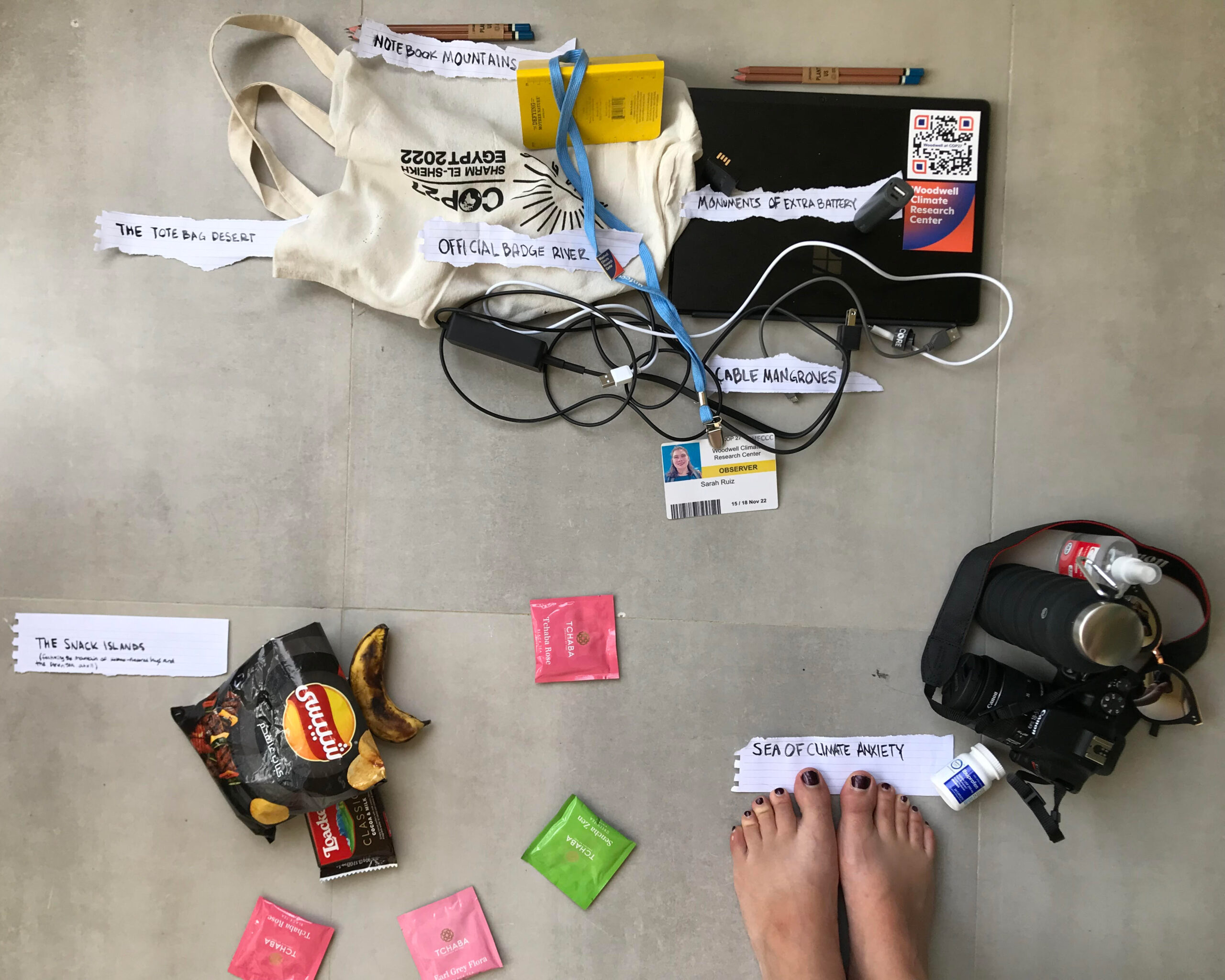 map of items Science Writer Sarah Ruiz carried with while at COP27