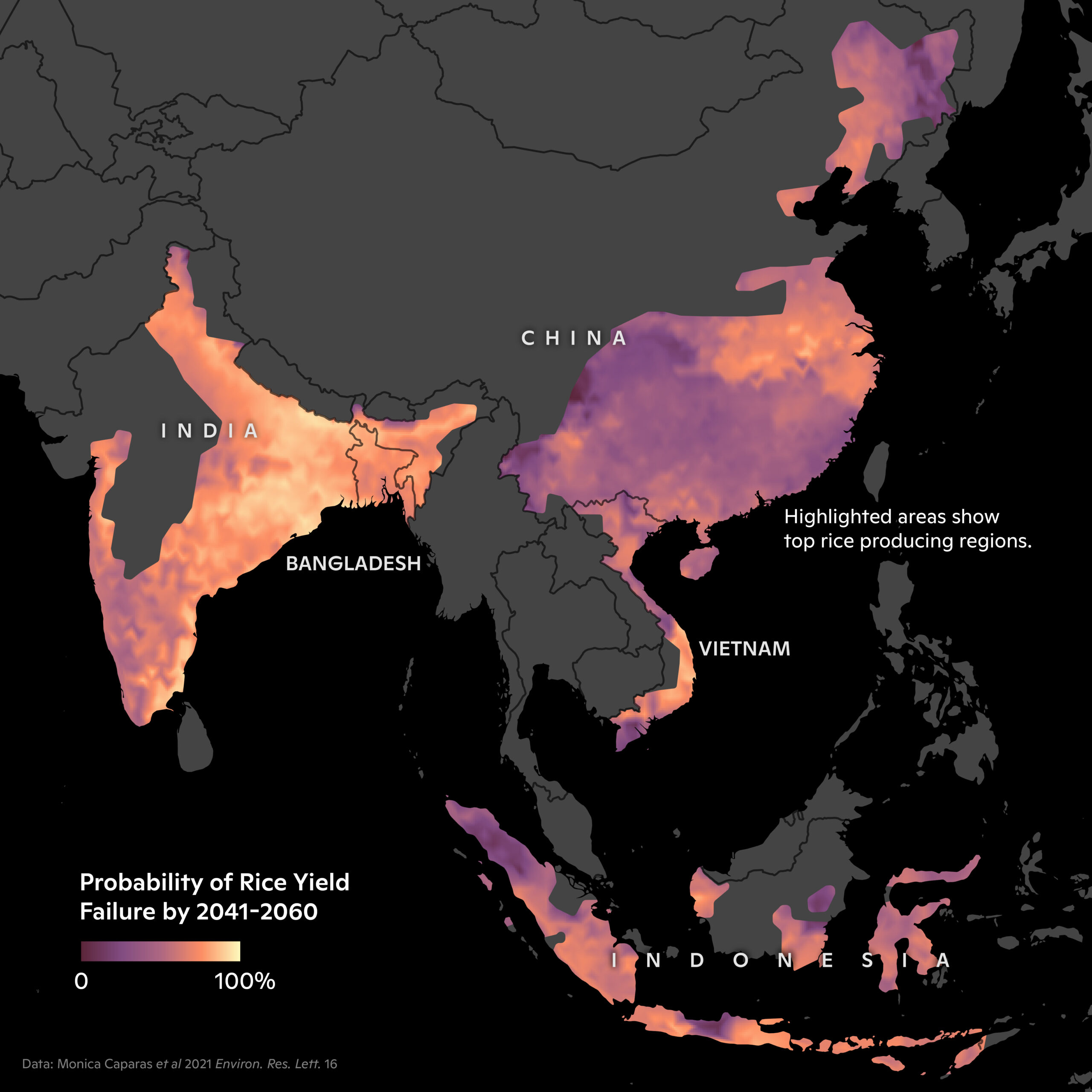 map highlighting top producing rice regions, where rice yield failures will have a large impact.