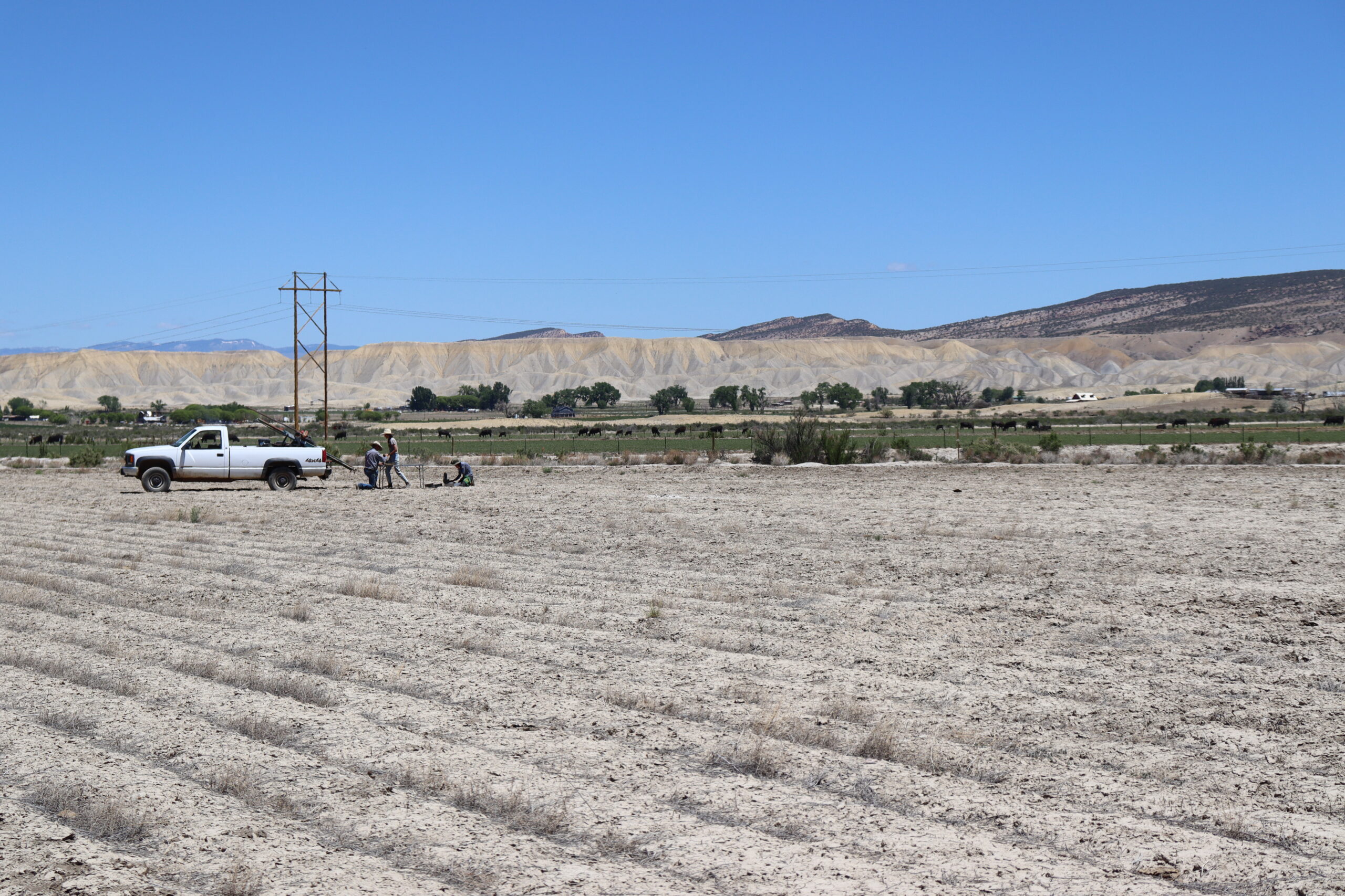 Soil coring team on degraded rangeland