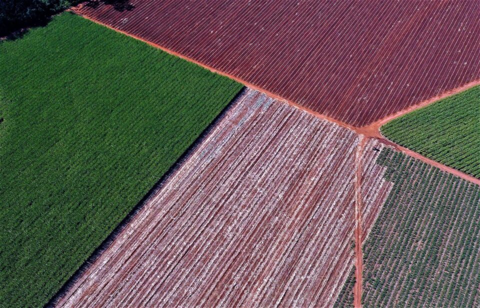 drone shot of agricultural fields in Brazil