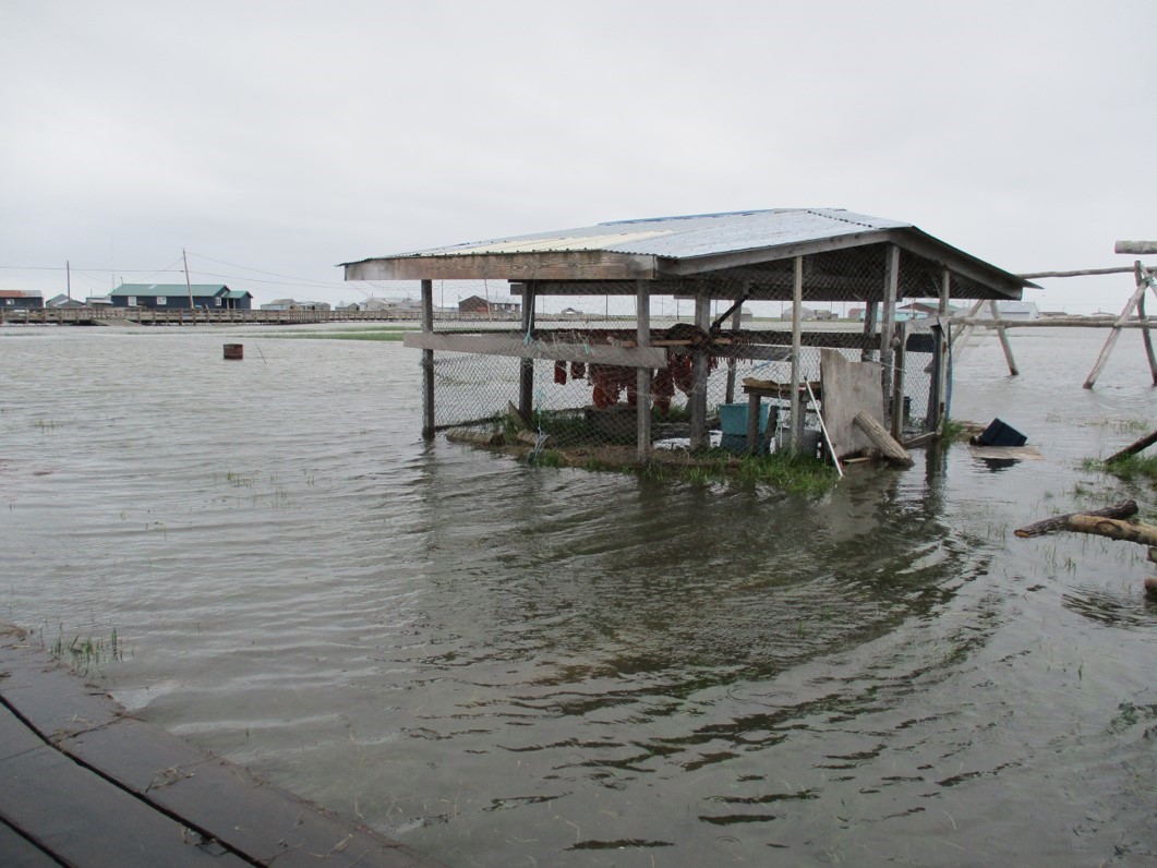 Non-storm event flooding that damaged a subsistence drying rack in the Alaska Native village of Kuigilnguq (Kwigillingok). Photo by Ben Baldwin, Alaska Institute for Justice