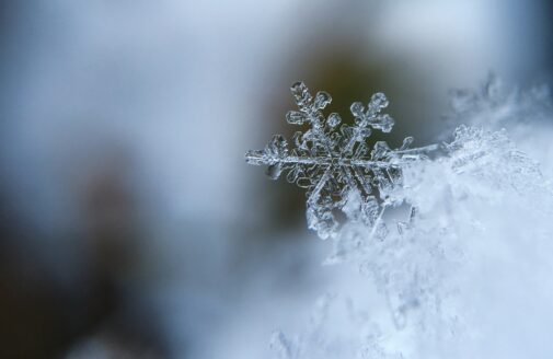 Stock image of close-up on an individual snowflake