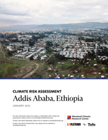 Cover page of the Addis Ababa risk assessment