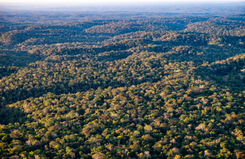 An aerial view shows the treetops of the Brazilian Amazon