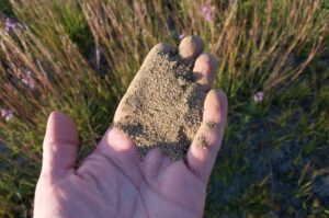 An outstretched hand holding a small pile of fine soil