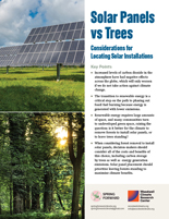 Cover page of the Solar Panels vs Trees policy brief