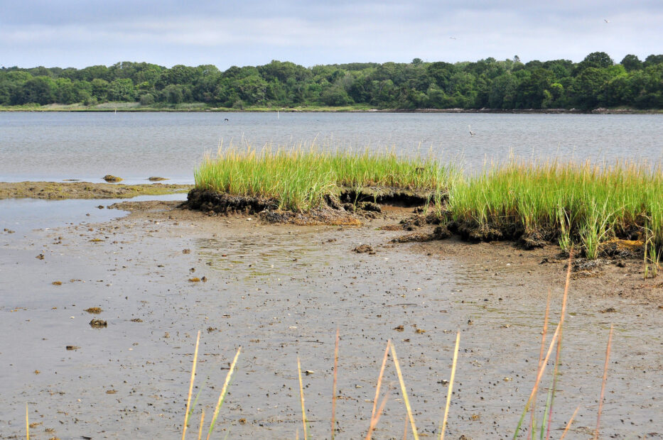 westport river erosion