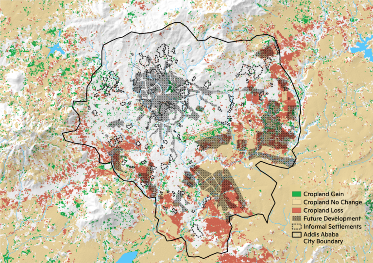 Figure 5: Cropland land cover change from 2003 to 2019 in Addis Ababa.