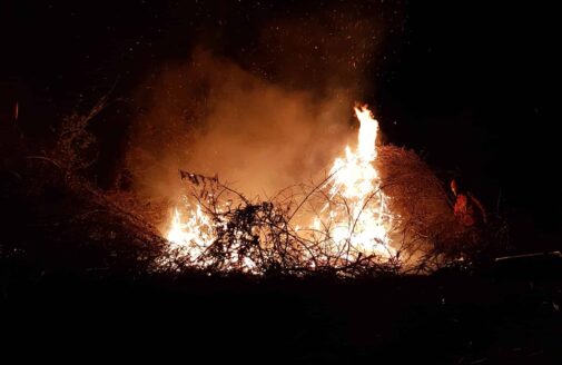 Fire in the Pantanal region of Brazil silhouetted against dark night sky. photo by Manoela Machado