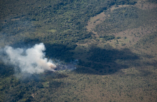 An aerial photo of smoke rising from a fire in the Amazon forest