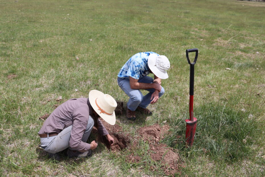 jon sanderman and megan machmuller examining a hole dug on a grassland pasture