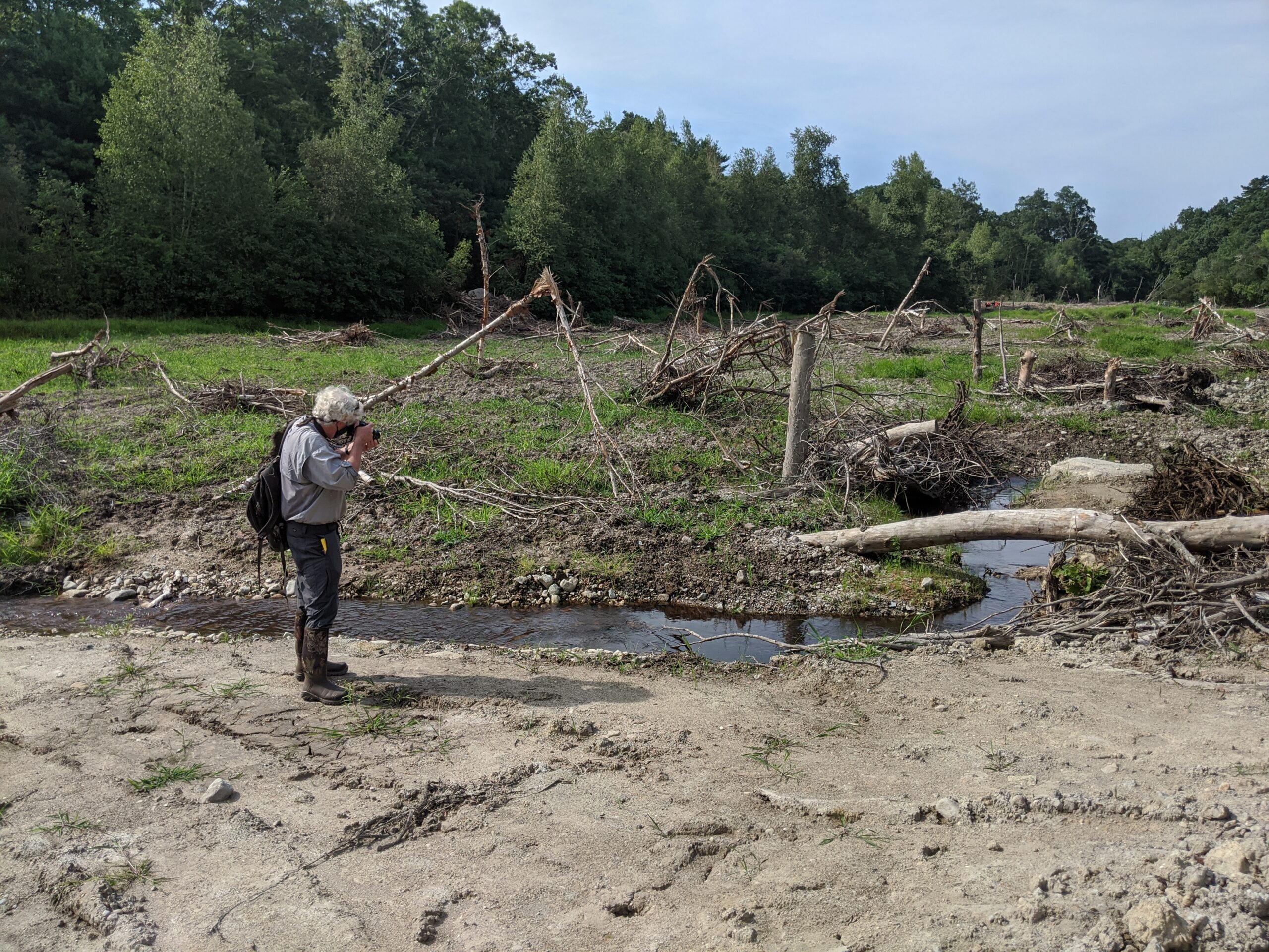 Dr. Chris Neill takes a photo of a cranberry bog restoration site in Massachusetts.