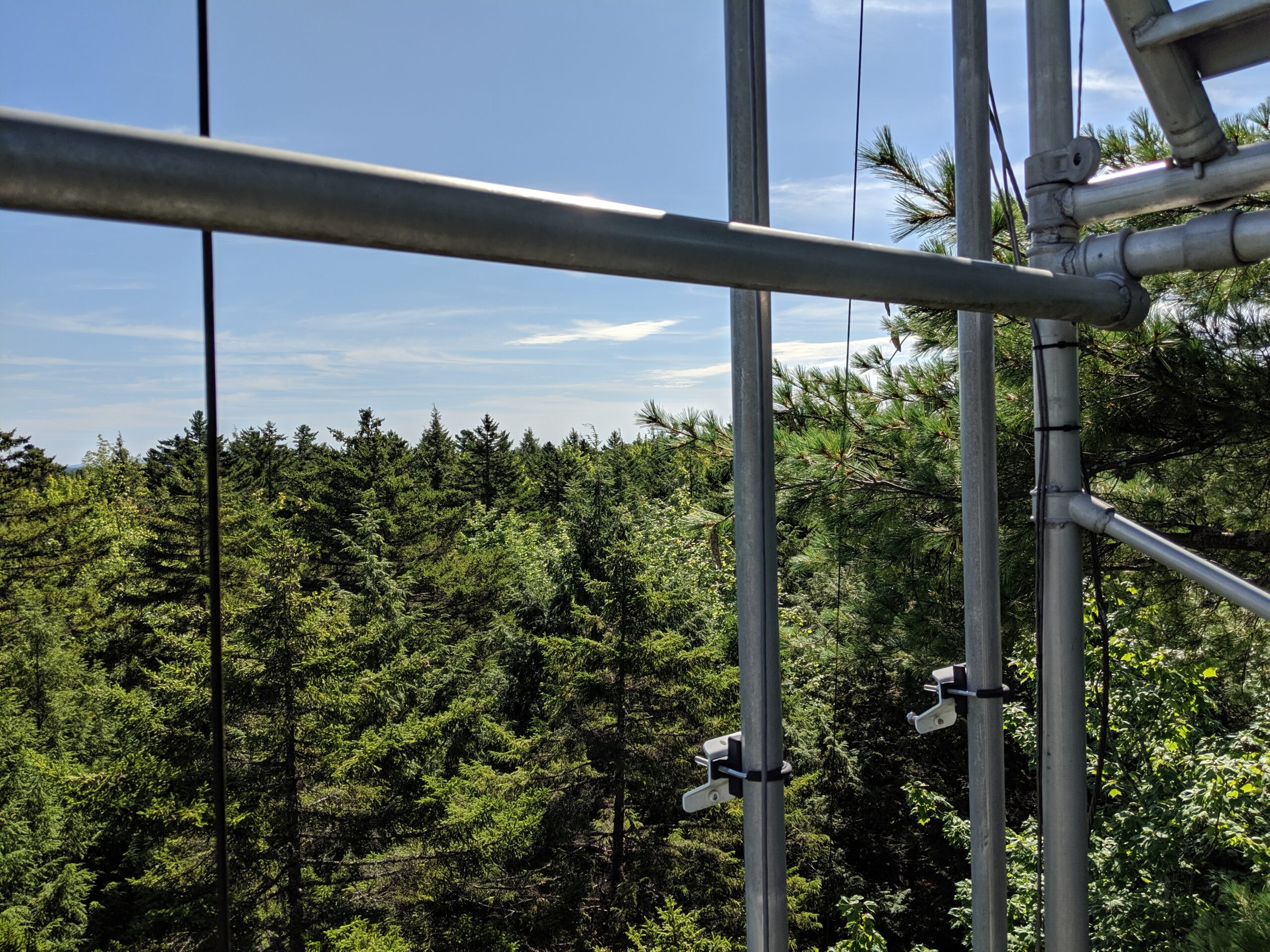 tree tops of howland forest as seen from the carbon monitoring tower