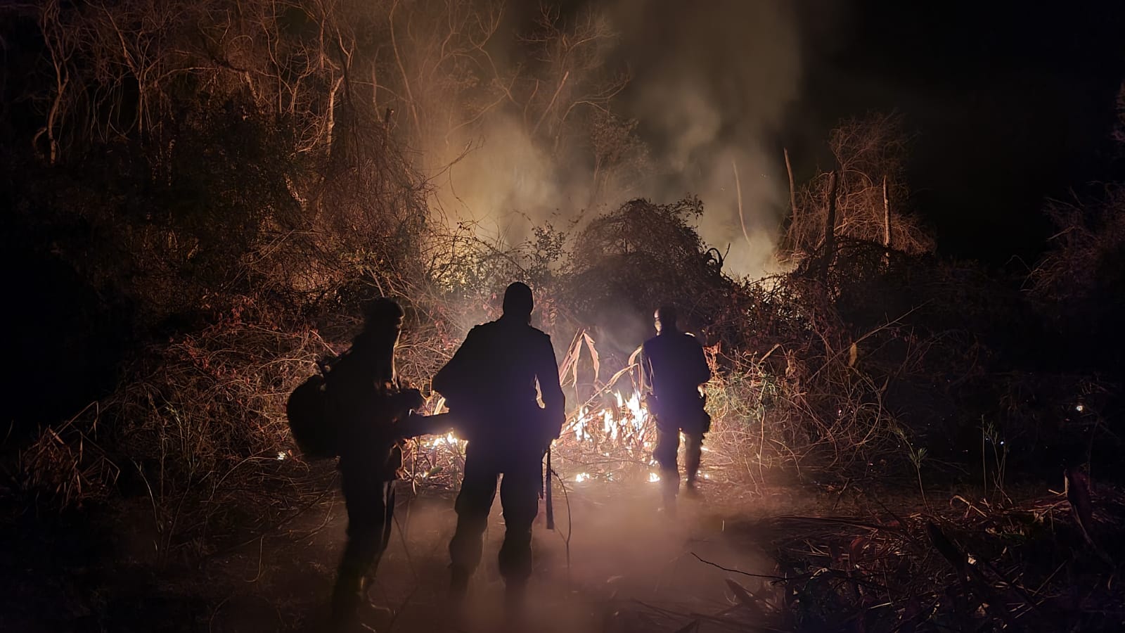 Firefighters in Brazil combatting a blaze at night in silhouette