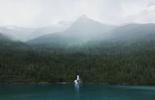 View of Tongass National Forest