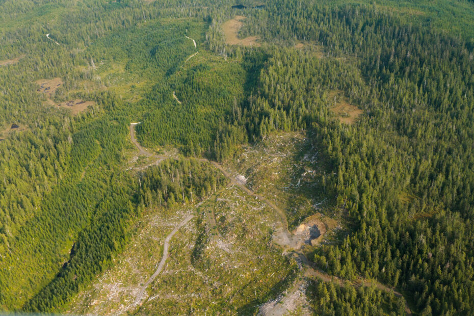 Aerial photograph of forest surrounding a clearcut, bare area with roads.