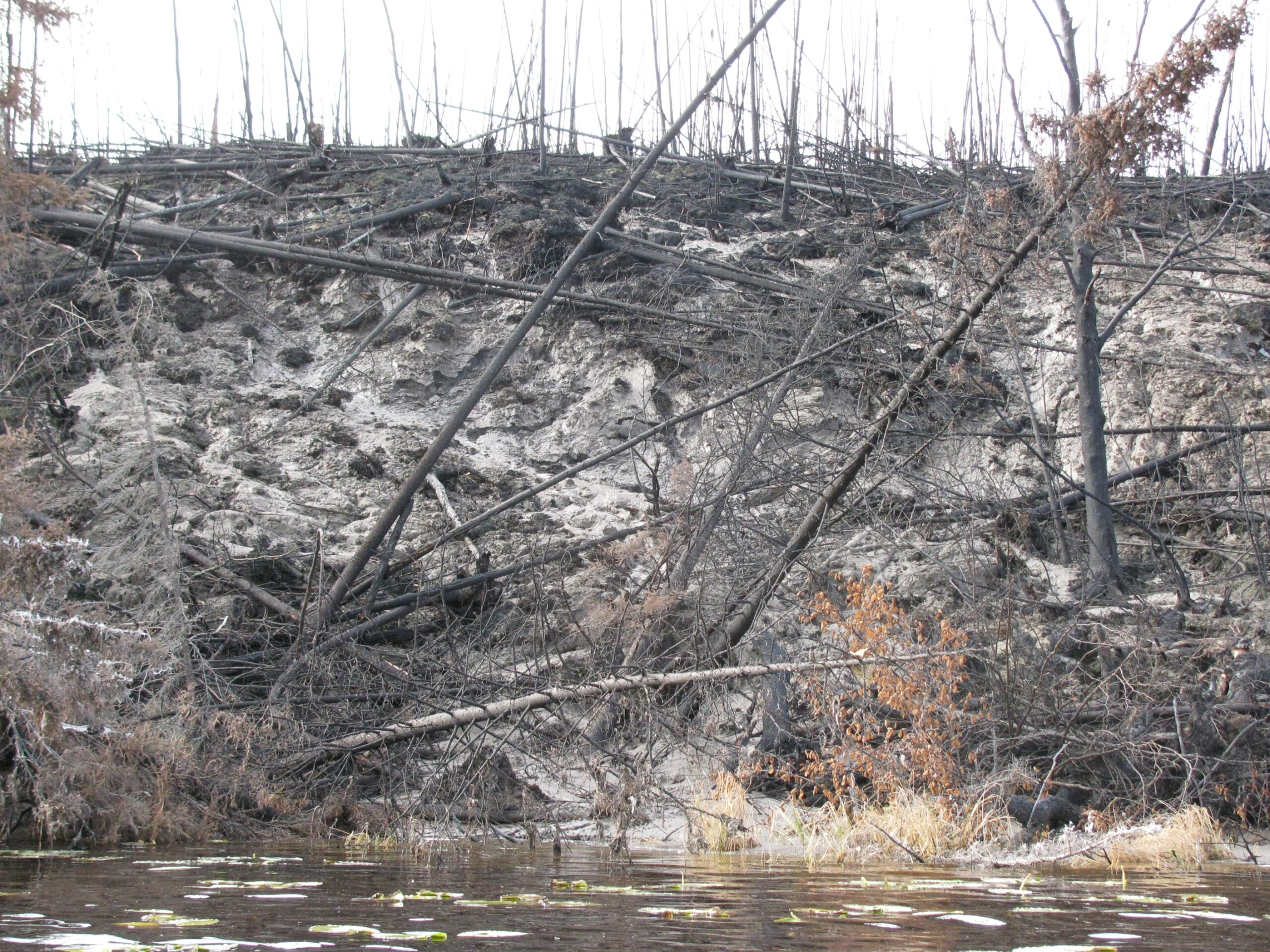 a cross section of a thawed slope after fire burned away trees and soil