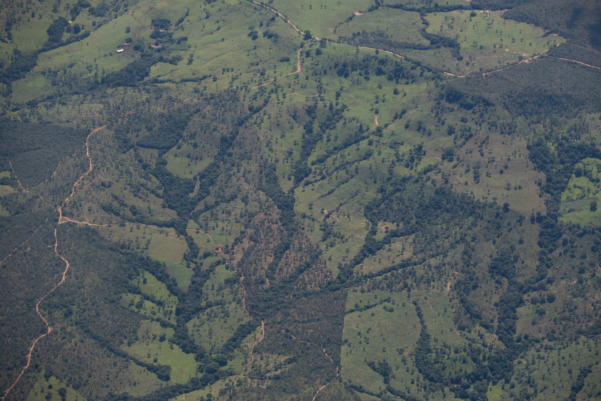 Aerial view in the Amazon: standing trees remain in long, thin tendrils on the landscape, splitting up farmland.