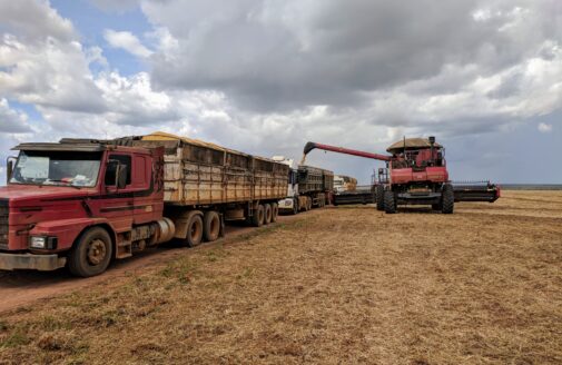 harvesting trucks in Tanguro