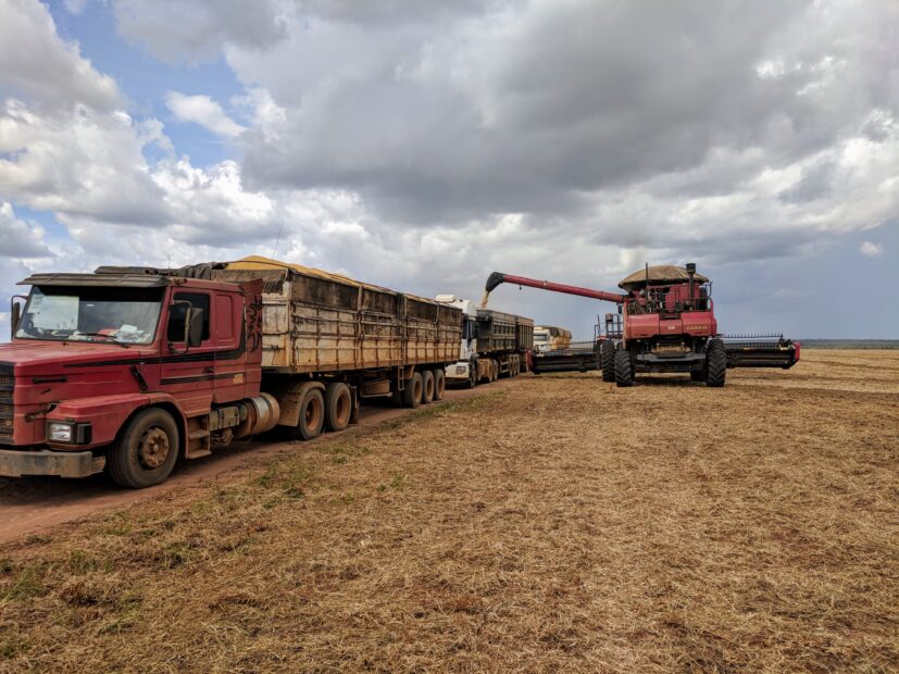 harvesting trucks in Tanguro