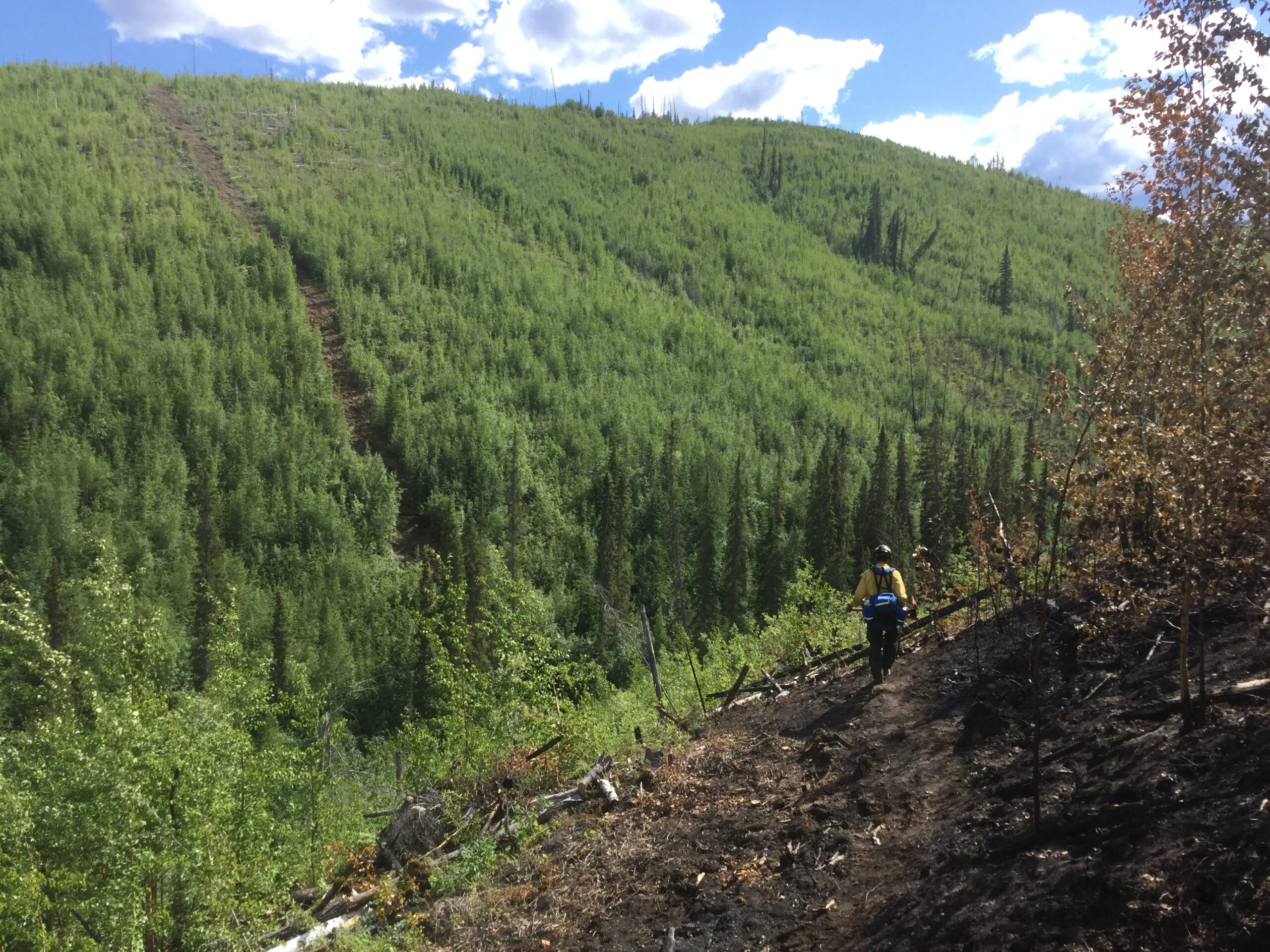 State of Alaska firefigher Andrew Allaby walks a fire break at Yukon Flats National Wildlife Refuge in Alaska in 2020 on the Isom Creek Fire. Dale Woitas, FWS