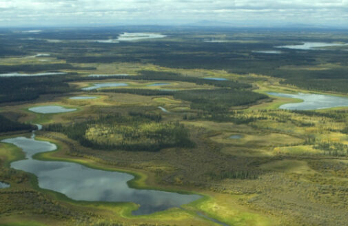 aerial view of Yukon flats National wildlife refuge, green land dotted with lakes